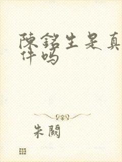 陈铭生是真实事件吗