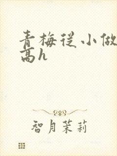 青梅从小做到大高h
