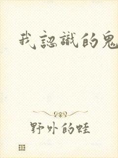 我认识的鬼子兵