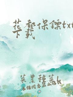 花都保镖txt下载