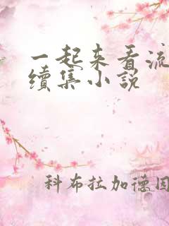 一起来看流星雨续集小说