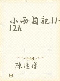 小雨日记11-12h