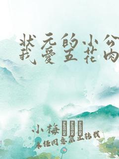 状元的小公主(我爱五花肉)