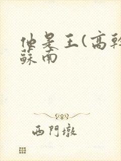 他是王(高干)苏南