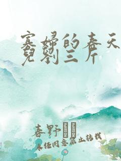 寡妇的春天白花儿刘三斤