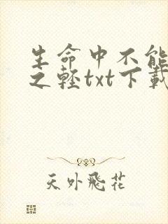 生命中不能承受之轻txt下载