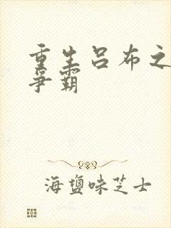 重生吕布之三国争霸