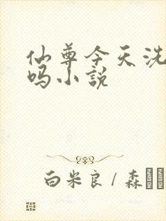 仙尊今天洗白了吗小说