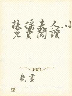 扶摇夫人.小说免费阅读