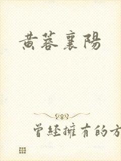 黄蓉襄阳