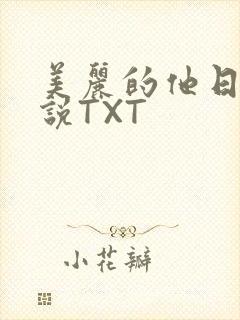 美丽的他日剧小说TXT