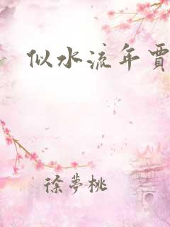 似水流年贾二虎