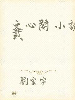 文心阁 小说连载