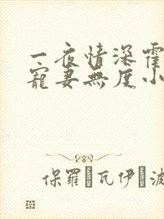 一夜情深霍先生宠妻无度小说免费阅读