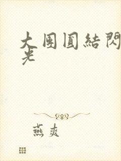 大团圆结闪闪发光