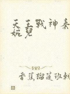 天王战神秦武林婉儿