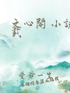 文心阁 小说连载