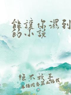 能让你湿到不行的小说