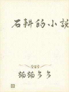 石耕的小说