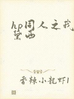 hp同人之我叫黛西
