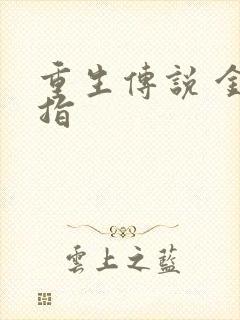 重生传说 金手指