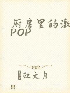 厨房里的激战2POP