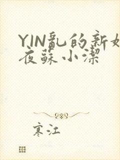YIN乱的新婚夜苏小洁