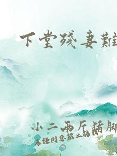 下堂残妻难再娶