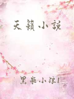 天籁小说