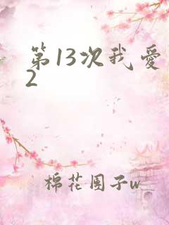 第13次我爱你2