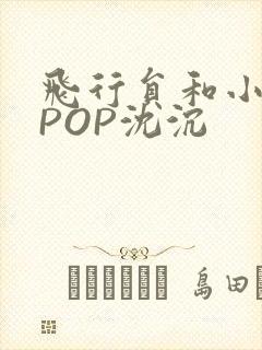 飞行员和小空乘POP沈沉