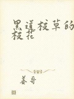 黑道校草的黑道校花