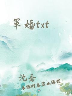 军婚txt