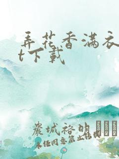 弄花香满衣txt下载