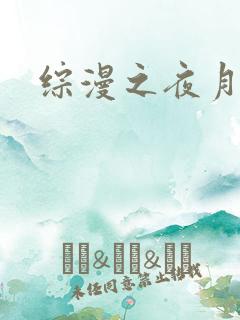 综漫之夜月