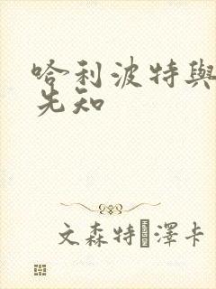 哈利波特与冒牌先知