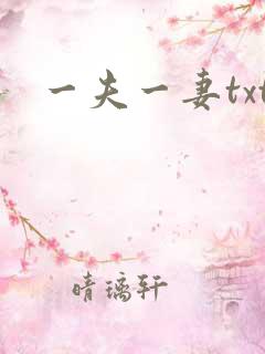 一夫一妻txt