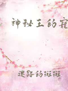 神秘王的宠姬