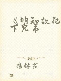 《明知故犯》年下兄弟