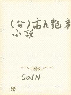 (公)高h艳事小说