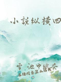 小说纵横四海