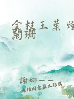 金枝玉叶 灯火阑珊