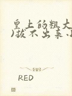 皇上的粗大(h)拔不出来小说