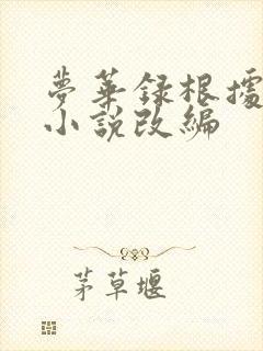 梦华录根据什么小说改编