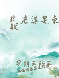 我老婆是东方不败