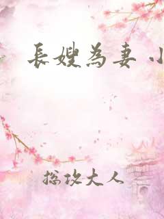 长嫂为妻 小说