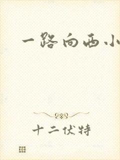 一路向西小说