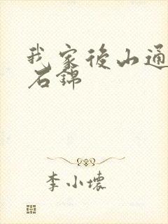 我家后山通仙界石锦