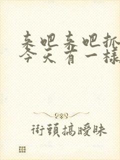 来吧来吧抓紧点今天有一样好东西