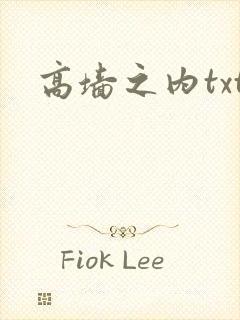 高墙之内txt